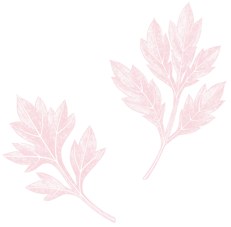 商品イメージイラスト