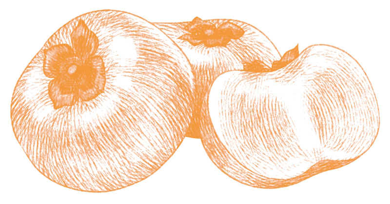 商品イメージイラスト