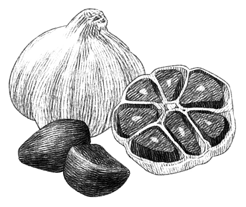 商品イメージイラスト